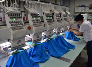 Özelleştirme Seçenekleri